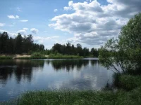 кадуй.webp