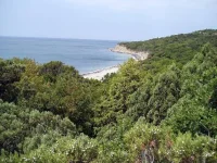 my_bay3.webp