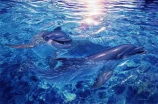 togetherness.webp