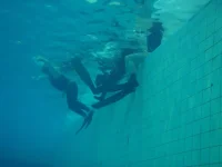 P1010008.webp
