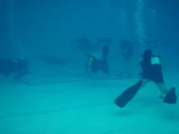 P1010046.webp