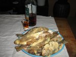 IMG_1382.JPG