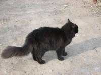 Изображение 322861111111111.webp