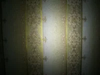 CIMG0334.webp