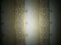 CIMG0335.webp