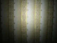 CIMG0337.webp