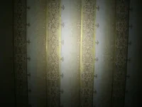 CIMG0338.webp