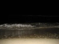 IMG_9961.webp