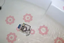 бокс.webp