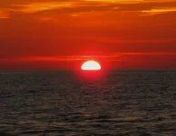 IMG_2022.webp