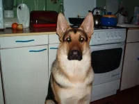 IM000874.webp