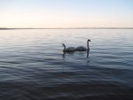 IMG_2179.JPG