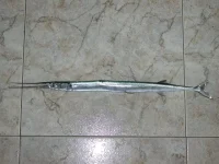 DSCN0209.webp