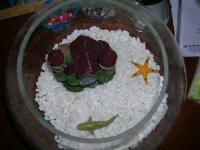 DSCN4626.webp