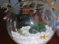DSCN4627.webp