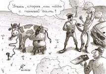 дойк.webp