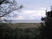 всем известный.webp