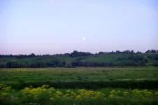 SNV38304.webp