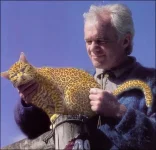 cat_5.webp