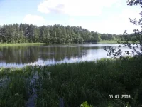 PICT6934.webp