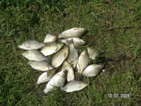 PICT7025.webp
