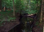 2009-07-27_0010.jpg