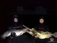 Бетма.webp