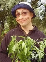 косм2.webp