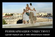 img_15524281_3140_1.webp