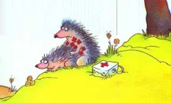 index.webp