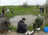 podborka_681_39.webp