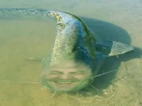som2.webp som2.webp