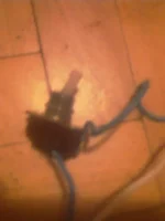 IMAG0015.webp