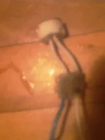 IMAG0016.webp