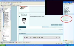 11112.webp