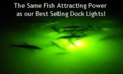 a_fish270.webp