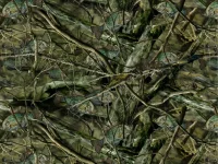 Crappieflage-1024x768.webp
