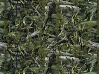 Walleyeflage-1024x768.webp