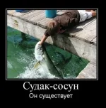 сосун.webp