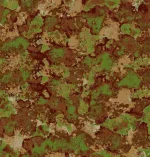 AON-new-CAMO-1019s.webp