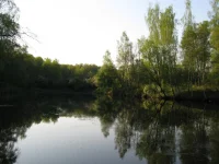 IMG_0159.webp