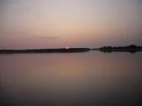 стерл...webp