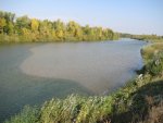 IMG_0225.jpg