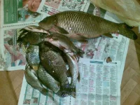 25102009(003).webp