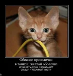 demotivatrori_04.webp