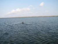 IMG_2059.webp