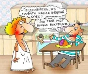 мозг.webp