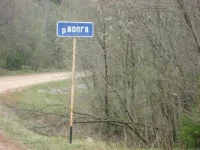 S5000798.webp