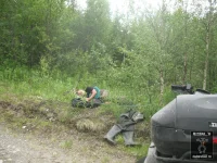 кузмич спит.webp