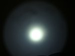 DSC01826.JPG